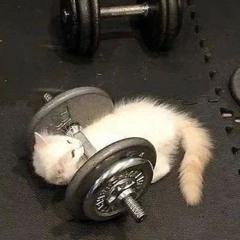 MAXPVNK - VEM! (SLOWED)