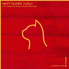 PREMIERE: Matt Oliver - Fallitur (Meeting Molly Remix) [PURRFECTION]