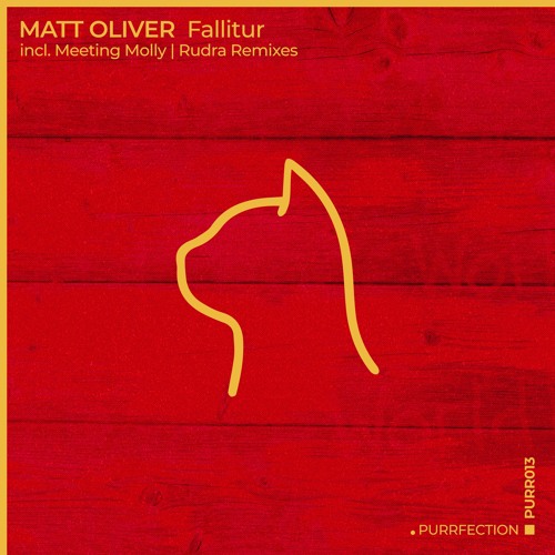 PREMIERE: Matt Oliver - Fallitur (Meeting Molly Remix) [PURRFECTION]
