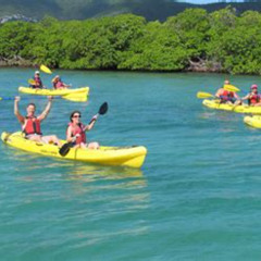 Review Special Price St Thomas Mangrove Lagoon Kayak And Snorkel Tour In The Us Virgin Islands