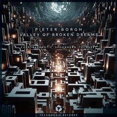 𝗣𝗥𝗘𝗠𝗜𝗘𝗥𝗘 Pieter Borgh - Not OK (Cusp Remix) [Techgnosis Records]