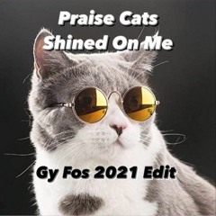 Praise Cats - Shined On Me (Gy Fos 2021 Edit)[FREE DOWNLOAD HIT BUY]