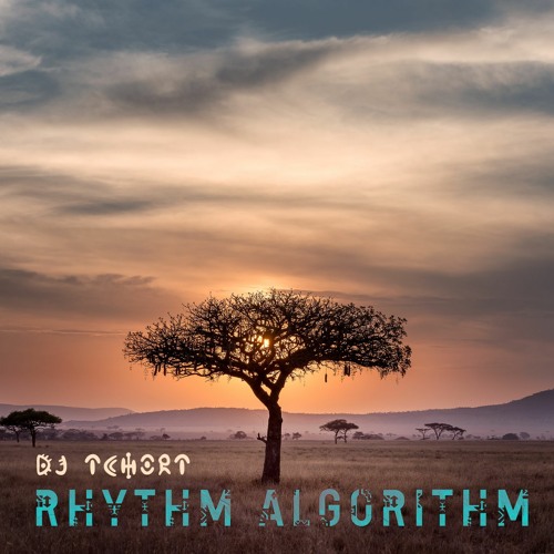 DJ Tchort - Rhythm Algorithm