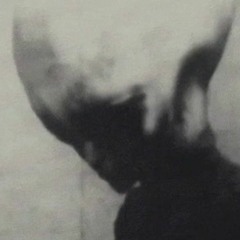 zoonimal - ashen chancer (ufo travelogue)