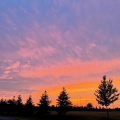 her last words (raw cover)