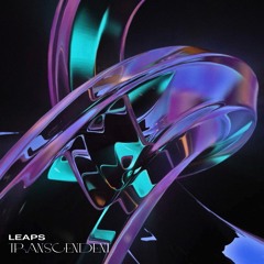 PREMIERE: Leaps - Rewind [Headroom Records]