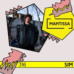 Mantissa Mix 316: SIM
