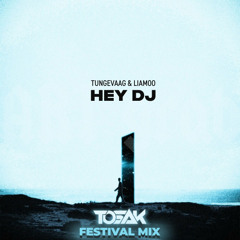Tungevaag, Liamoo - Hey DJ (TOSAK Festival Mix)