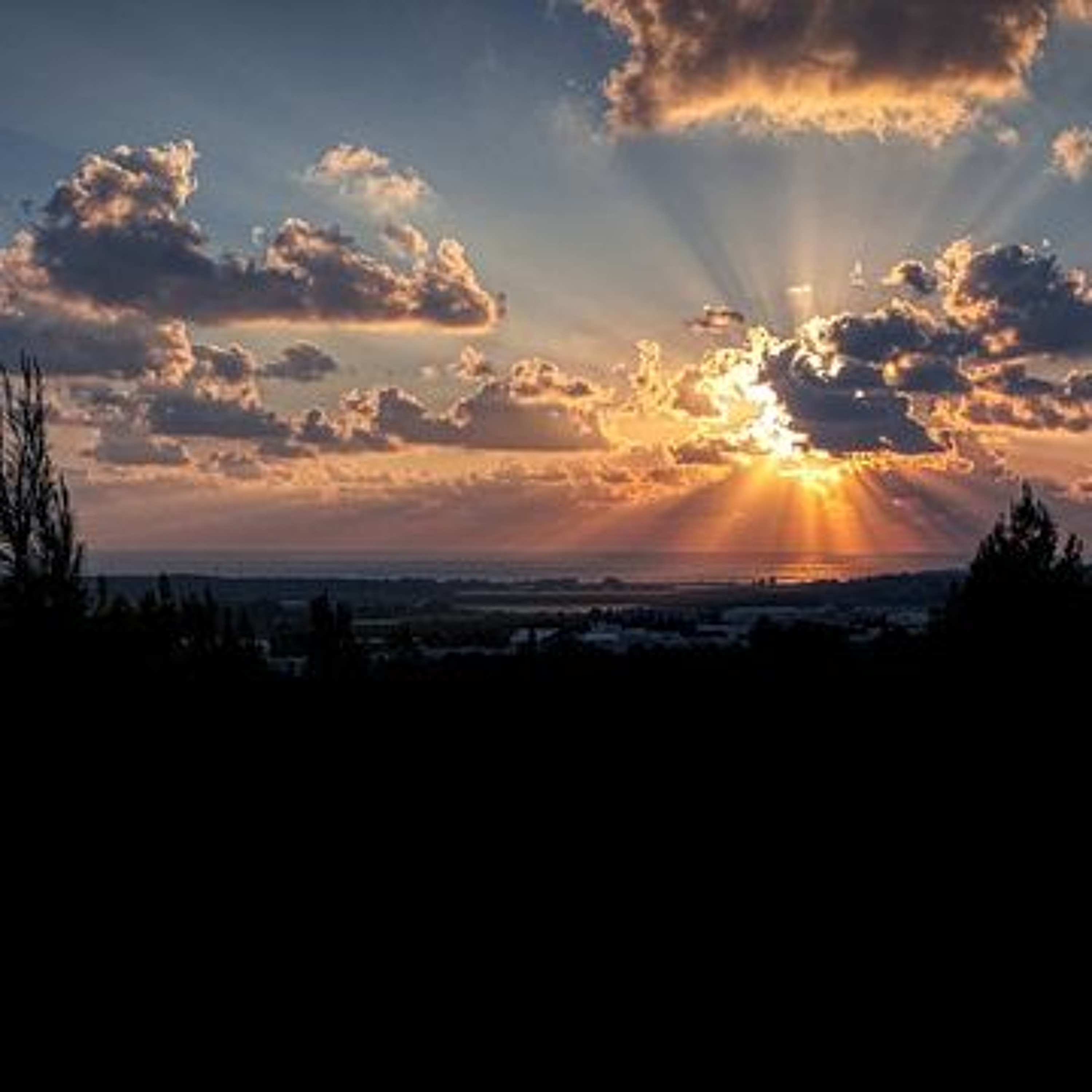 Green God in the Pocket - Returning Home