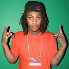 Waka Flocka Flame Hard in Da Paint Mixxx (All Plats)