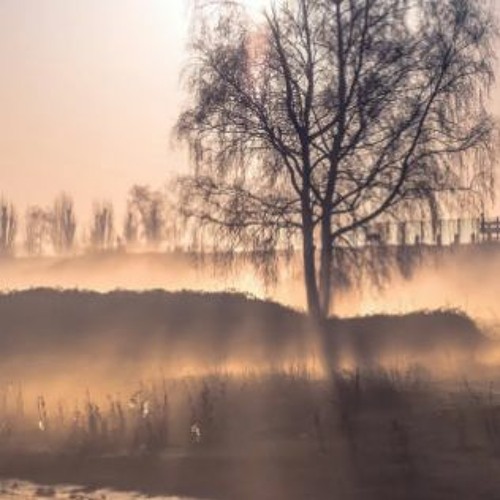 Baileybeats play background 🎹 ​FREE DOWNLOAD