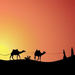 الشيخ حافظ - لماذا هاجر الرسول