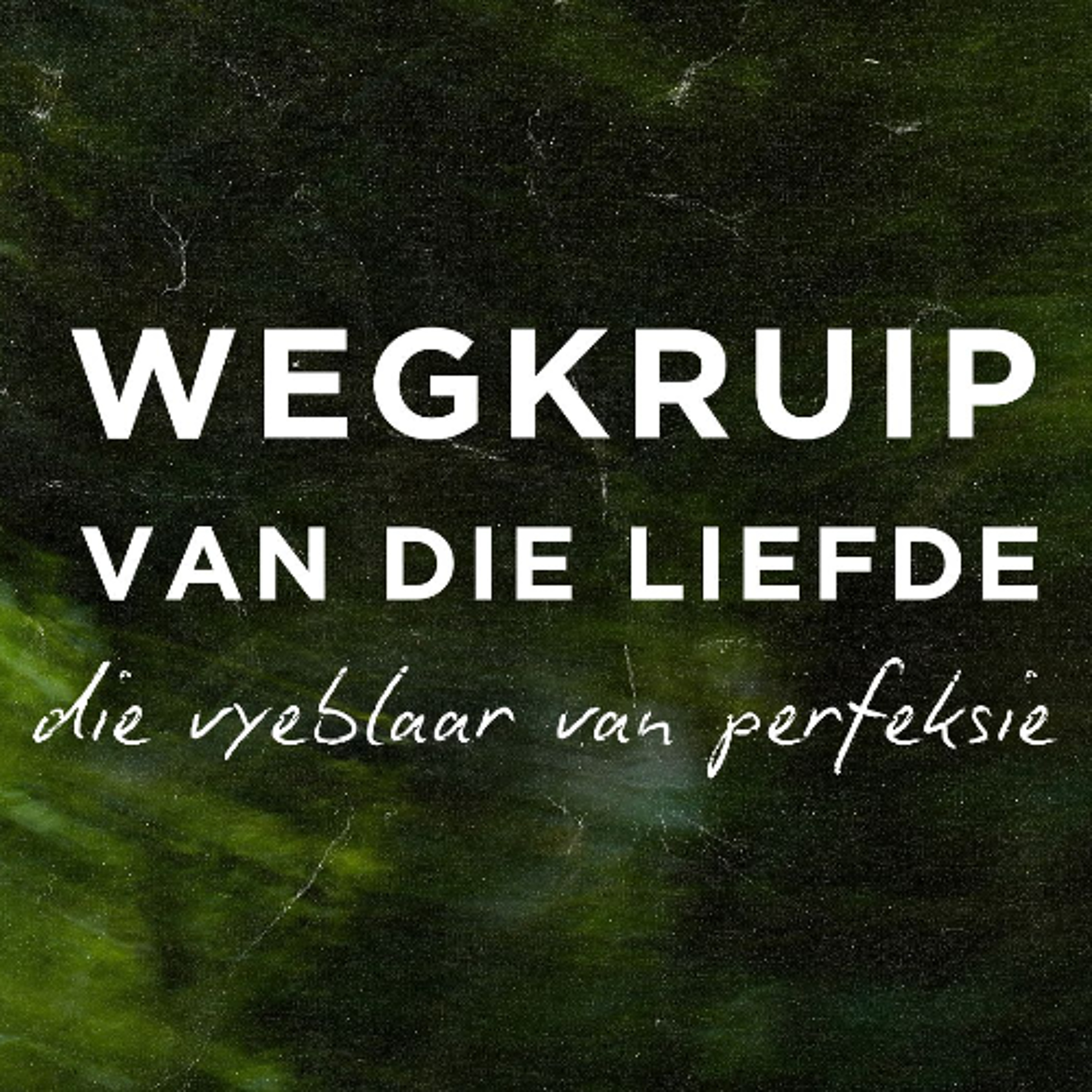 Wegkruip van die liefde: Die vyeblaar van perfeksie met Frieda van den Heever