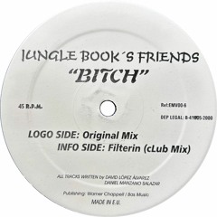 Jungle Book's Friends - Filterin (Club Mix) (1999)