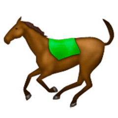 ROCKALHADA MIX SCHRANZ HARD