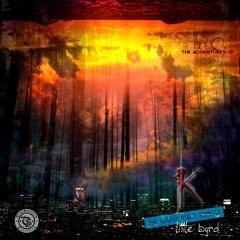 K (the sunday night version){instrumental} - little byrd