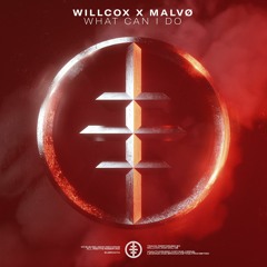 Willcox X MALVØ - What Can I Do