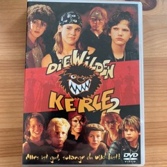 Higher denn je (Wilder Kerle 2 Cover)