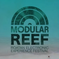DiskoSchmitt @ Modular Reef (HN) 2025 Pt.1