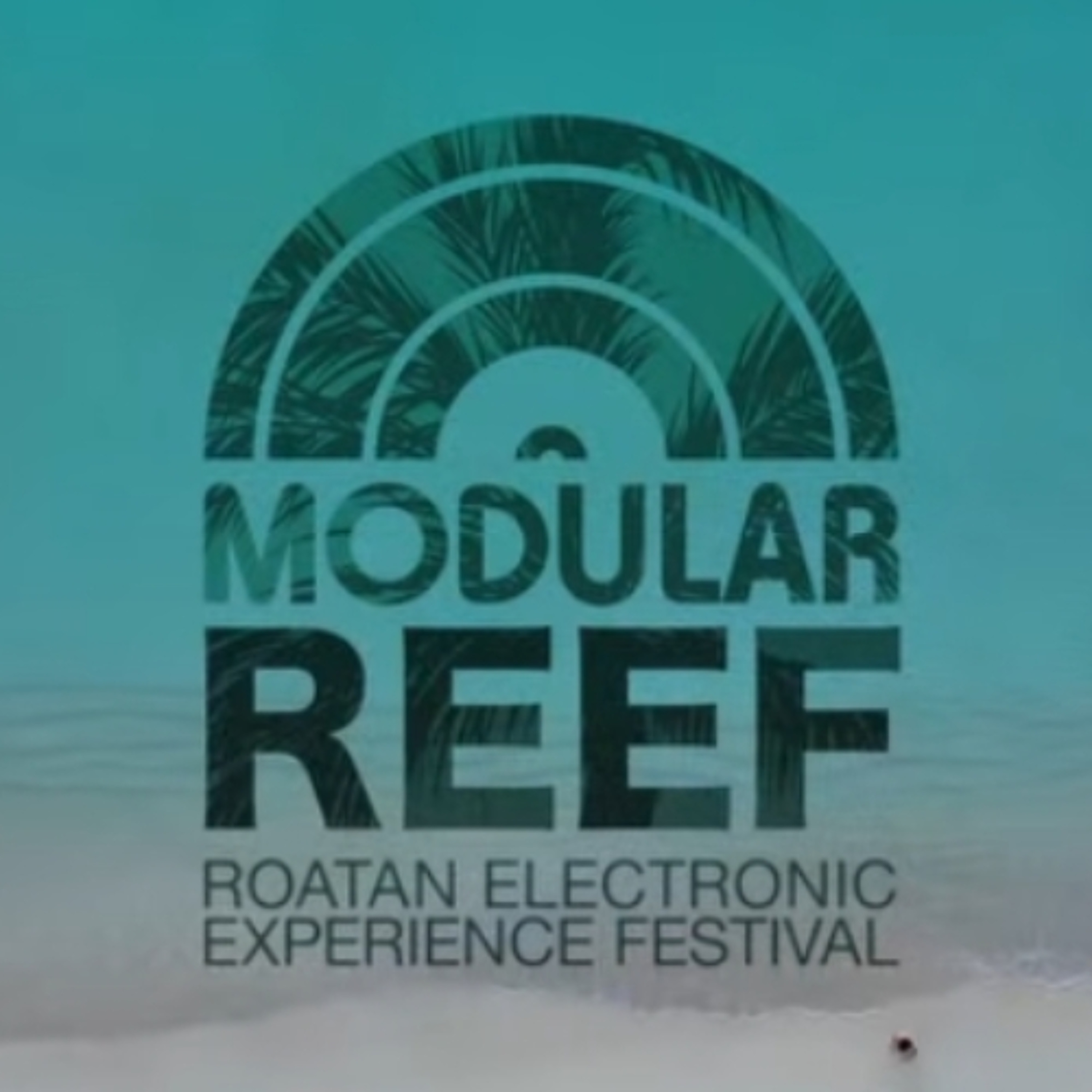DiskoSchmitt @ Modular Reef (HN) 2025 Pt.1 episode artwork