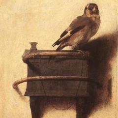 goldfinch