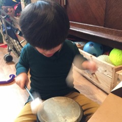 Drôles de petites bêtes