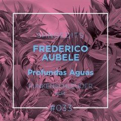 SHNGEDITS33 Federico Aubele - Profundas Aguas (Funkenschleuder Edit) FREE D/L