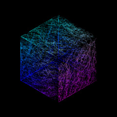 LUCID
