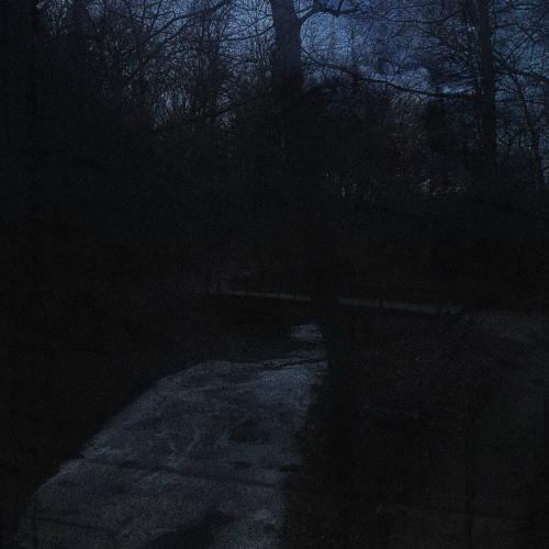 𒈦𒀂𒀼 𐎣𒆸𒇲𒀼𒋻𒈦