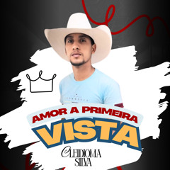Amor a Primeira Vista