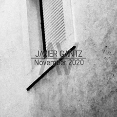 Javier Gantz | November 2020