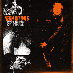 Spinkick