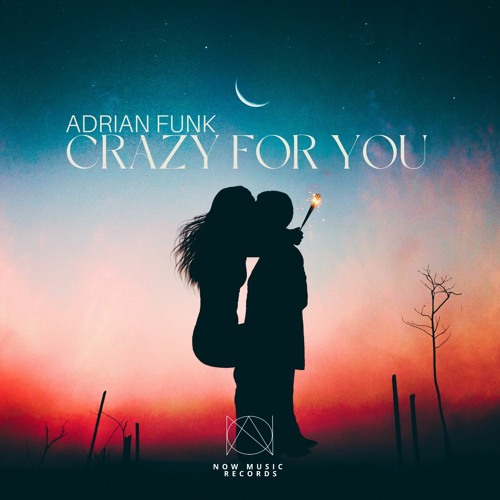 Adrian Funk - Crazy For You
