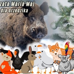 Małgorzata Maria Maj - Choinka Dla Grzedzika (audiobook)