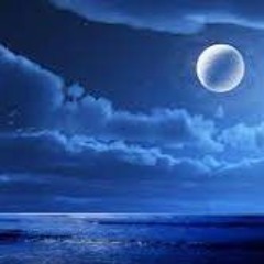 Midnight Dream