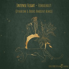 Intense Flight - Fomalhaut (Dynacom & Bodai Ambient Remix) [AMITABHA]