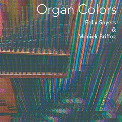 Felix Snyers & Moniek Briffoz - Organ Colors - 02 - Mysterieux Op.187.26