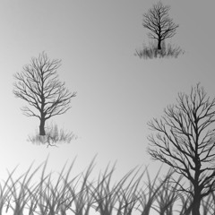 Pourvu qu'il neige + Twell