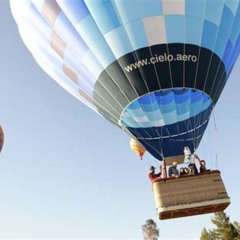 Review Special Price Temecula Shared Hot Air Balloon Ride