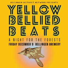 Set @ Yellow-Bellied Beats