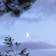 CAN'T SATIATE ALL HUMANKIND