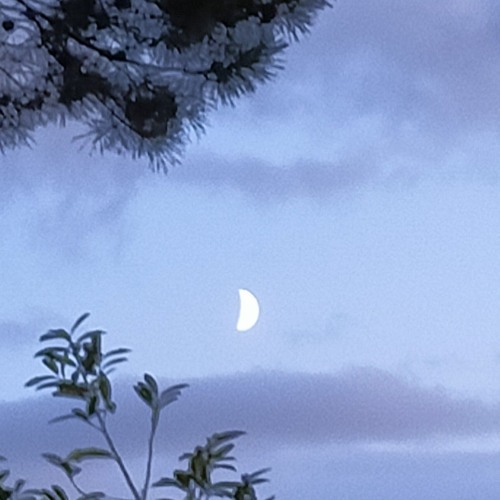 CAN'T SATIATE ALL HUMANKIND