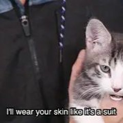 "When your cat writes a song" Daniel Thrasher