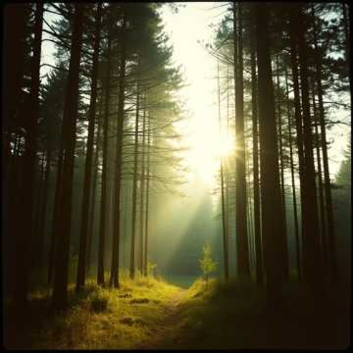 I Caught the Feeling alt