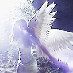 yao ming (@theyluvvdsb)