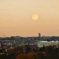 Sunburned Paradise.mp3