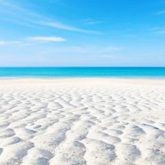 Beach Club / 5 Stars