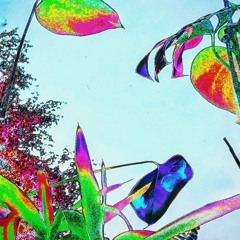 creatikly