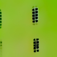 Bóbr