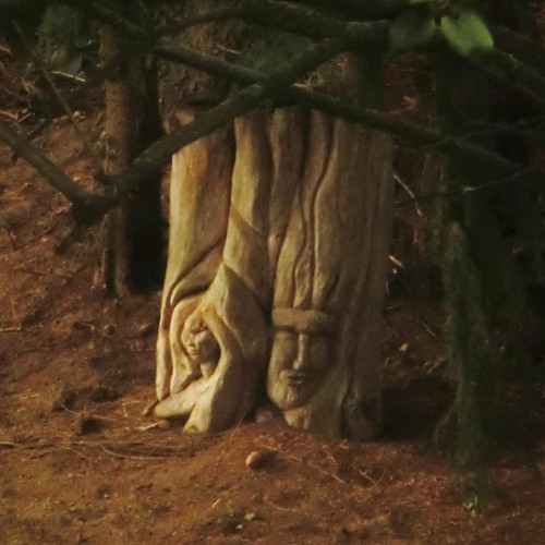 deep in the wood - impro-set live (r.s.stropharia + pantoclast + dac insomniac) 14.05.2019